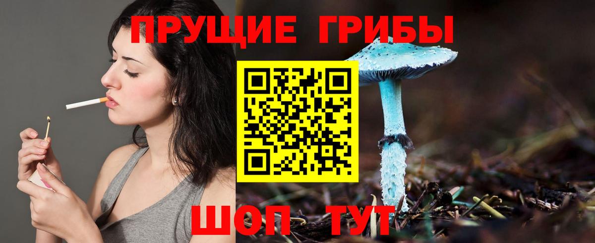 Псилоцибиновые грибы Magic Shrooms  Вход с VPN  Фролово  Псилоцибиновые грибы MAGIC MUSHROOMS 
